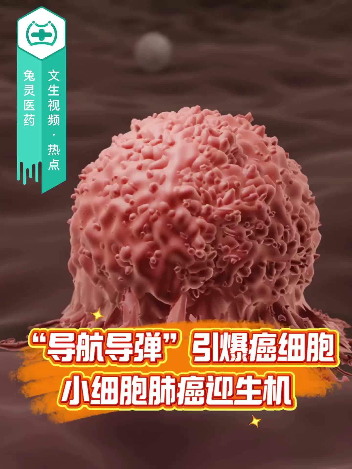“导航导弹”引爆癌细胞！小细胞肺癌迎生机