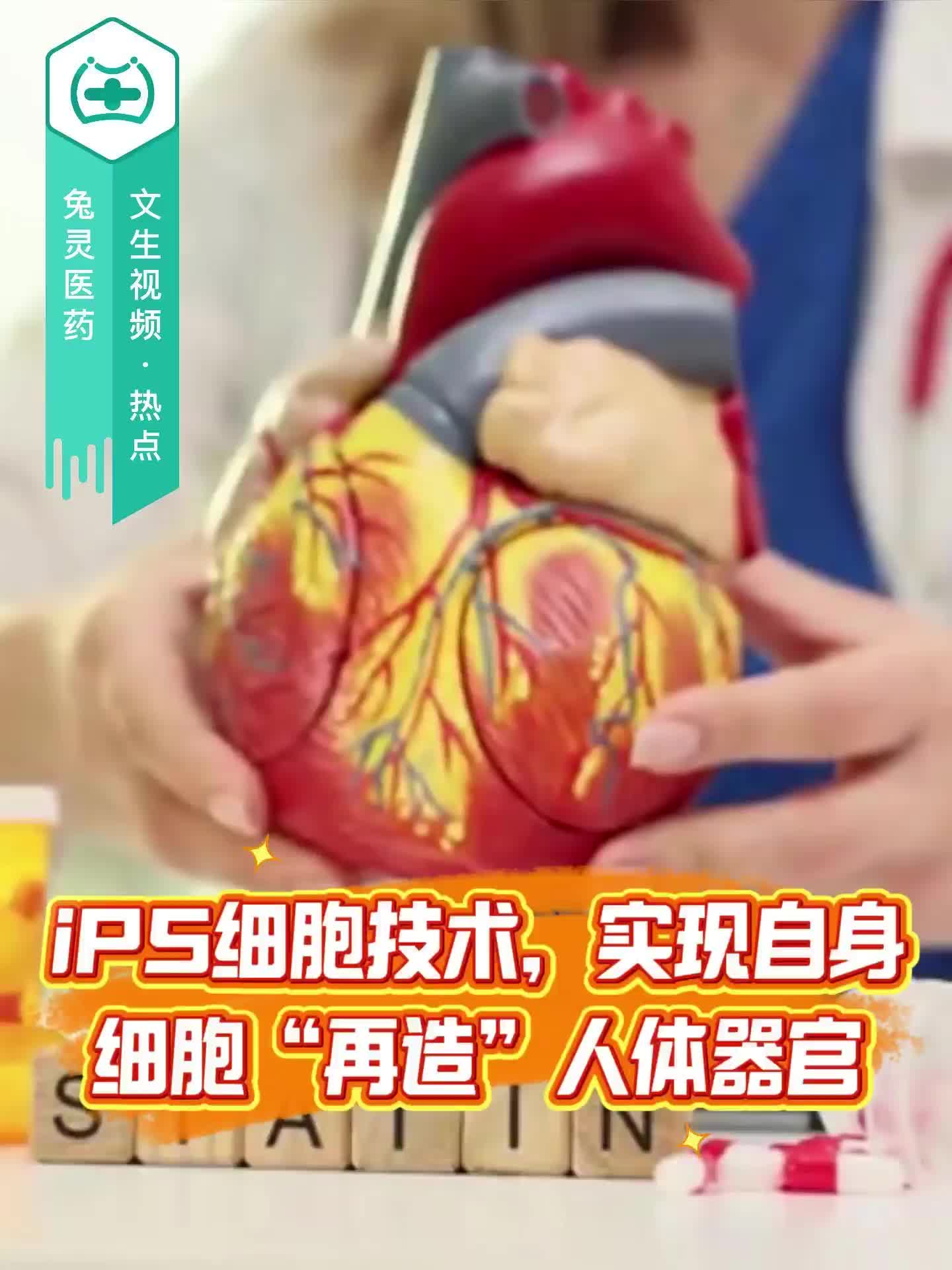 iPS细胞技术，实现自身细胞“再造”人体器官？