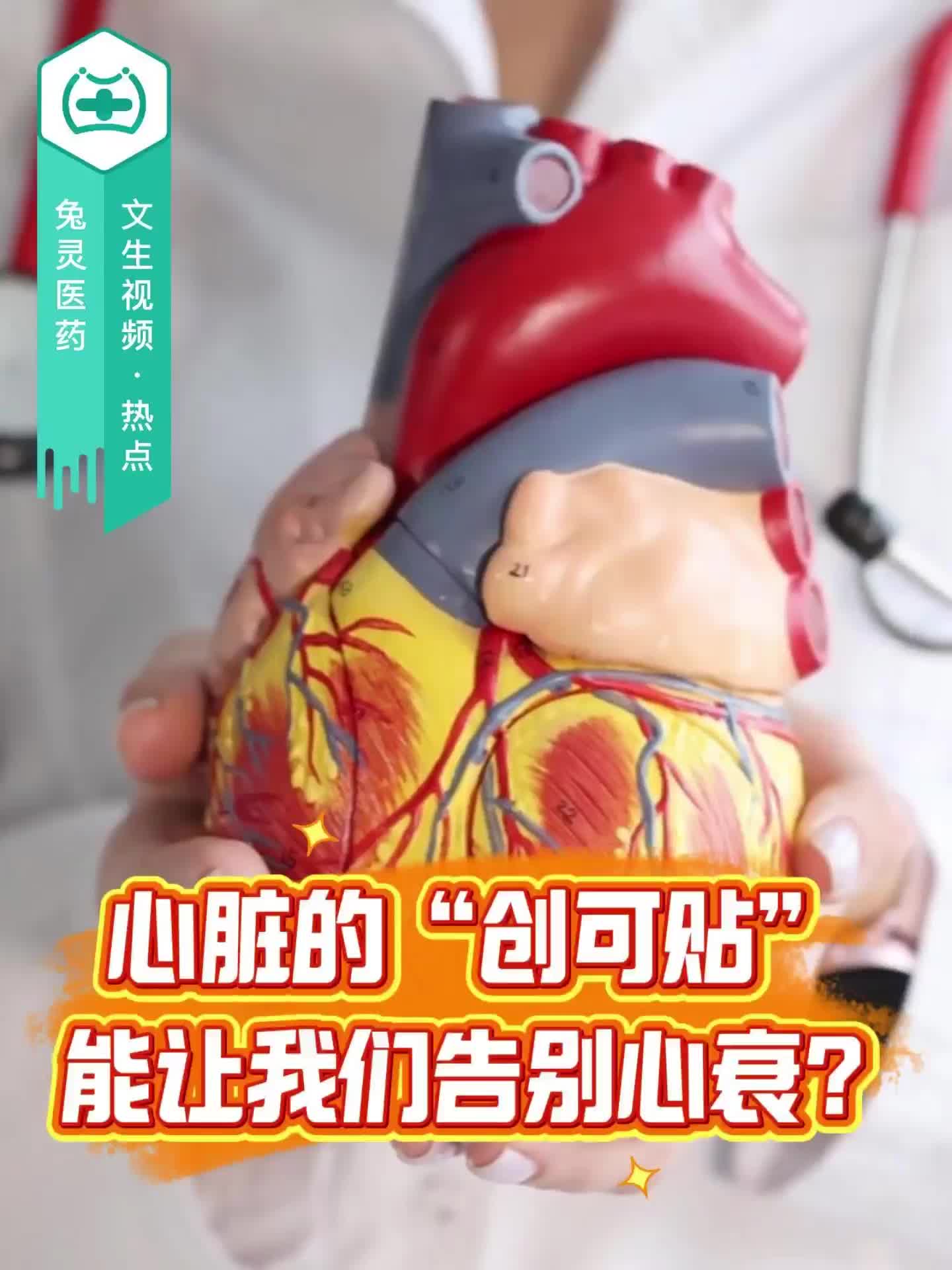 心脏的“创可贴”：能让我们告别心衰？