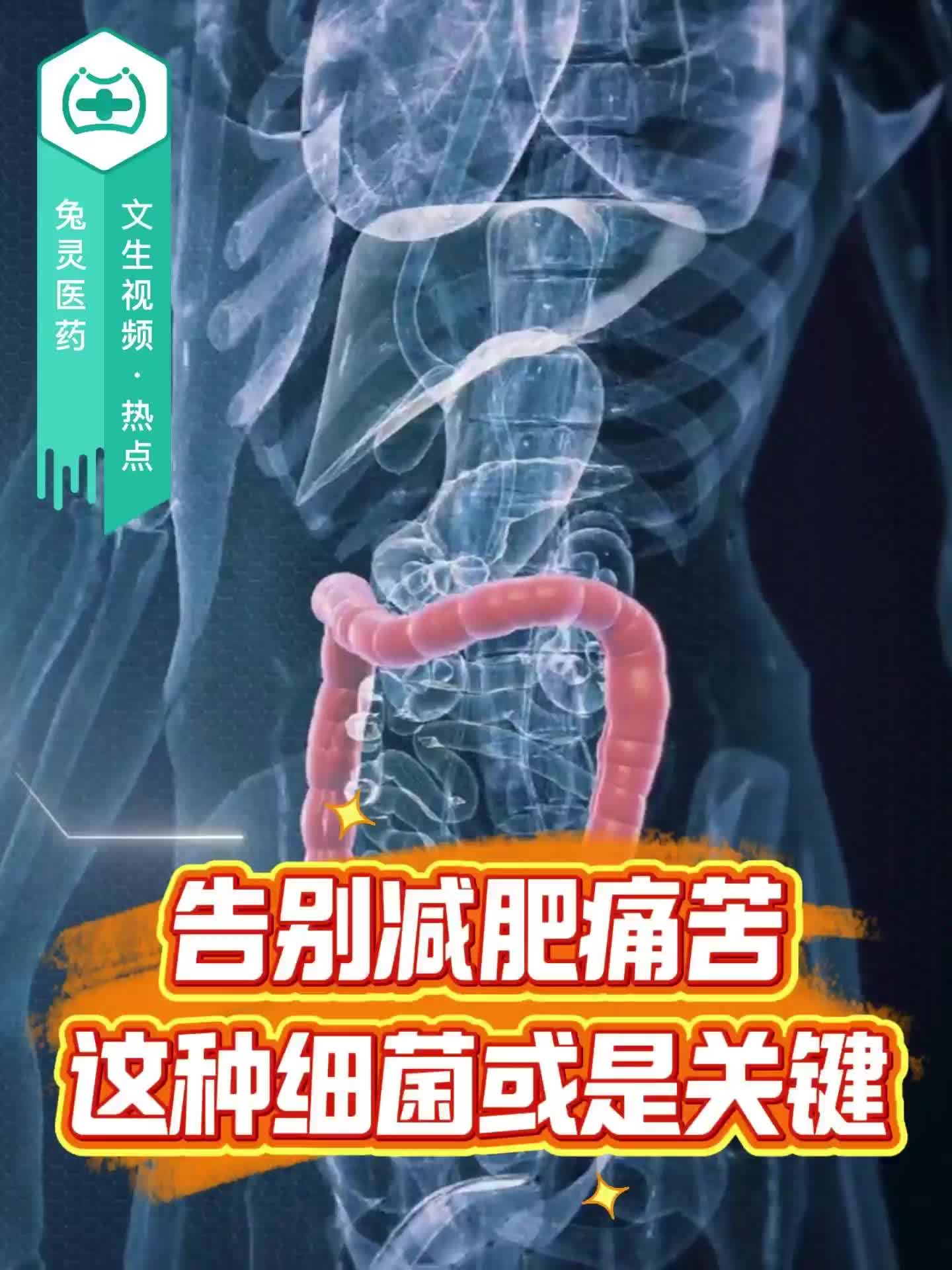 告别减肥痛苦？这种细菌或是关键