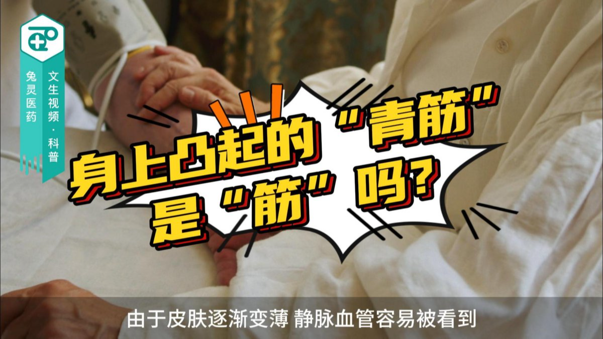身上凸起的“青筋”是“筋”吗？